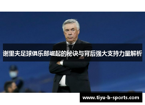 谢里夫足球俱乐部崛起的秘诀与背后强大支持力量解析 谢里夫足球俱乐部崛起的秘诀与背后强大支持力量解析