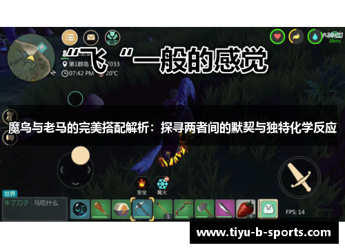 魔鸟与老马的完美搭配解析：探寻两者间的默契与独特化学反应
