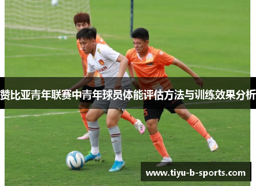 赞比亚青年联赛中青年球员体能评估方法与训练效果分析