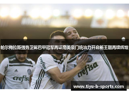 帕尔梅拉斯强势卫冕巴甲冠军再证南美豪门统治力开启新王朝再续辉煌 帕尔梅拉斯强势卫冕巴甲冠军再证南美豪门统治力开启新王朝再续辉煌
